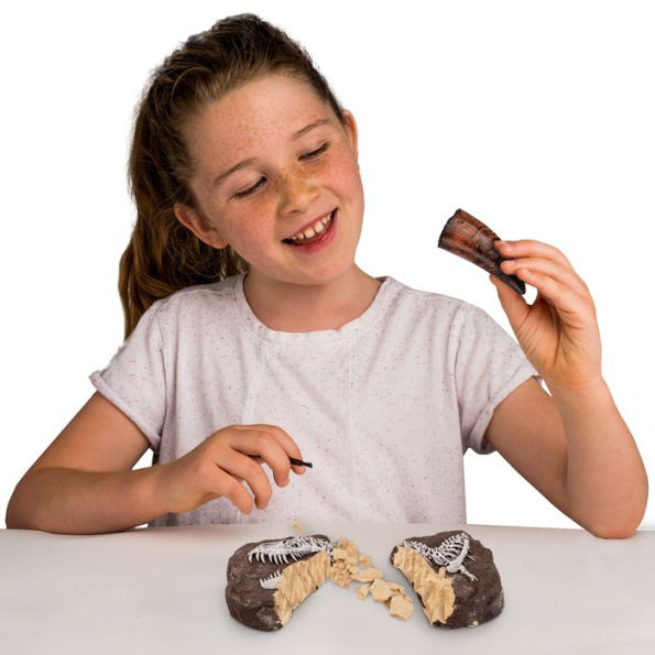 National Geographic Dino Fossil Dig Kit