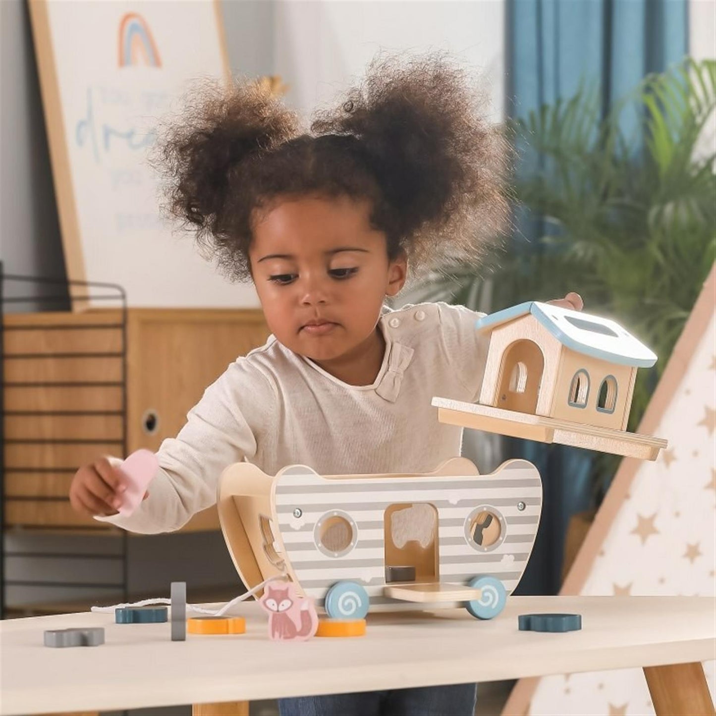 Noah's Ark Shape Sorter