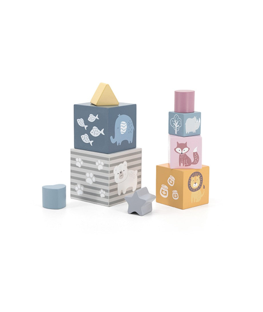 Nesting & Stacking Blocks