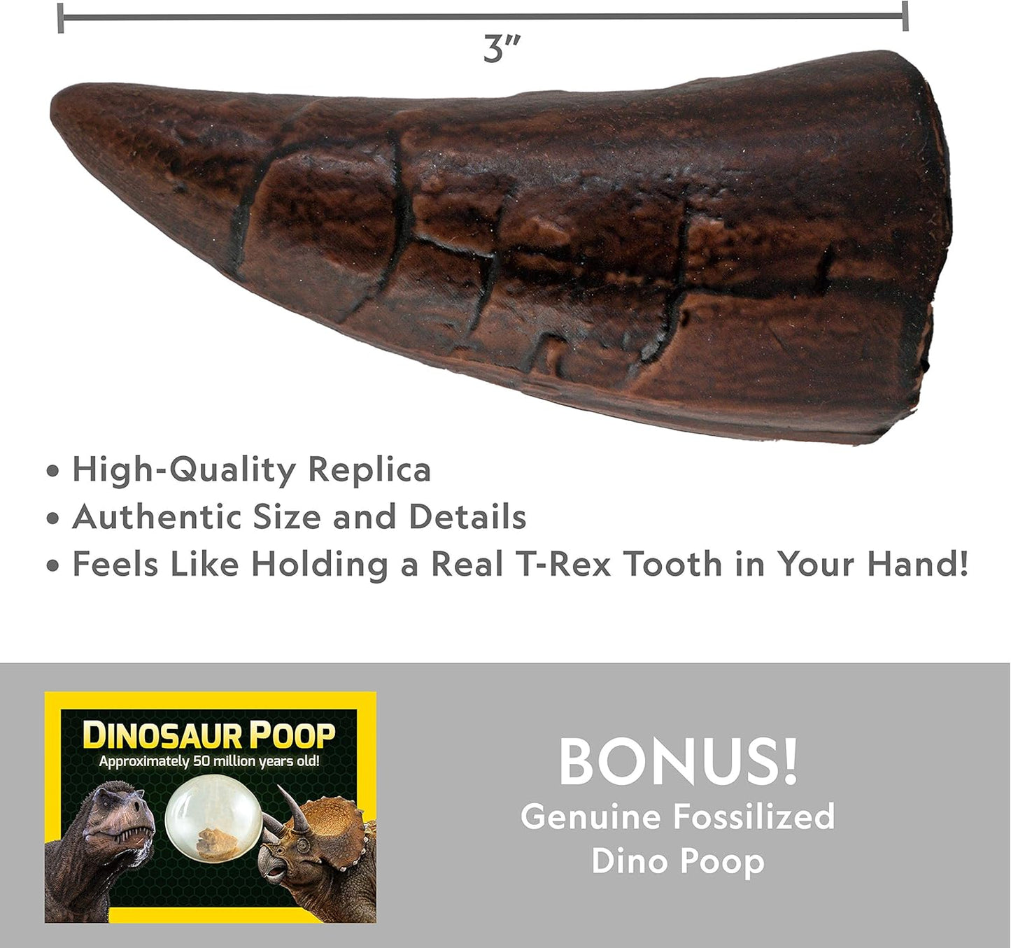 National Geographic Dino Fossil Dig Kit