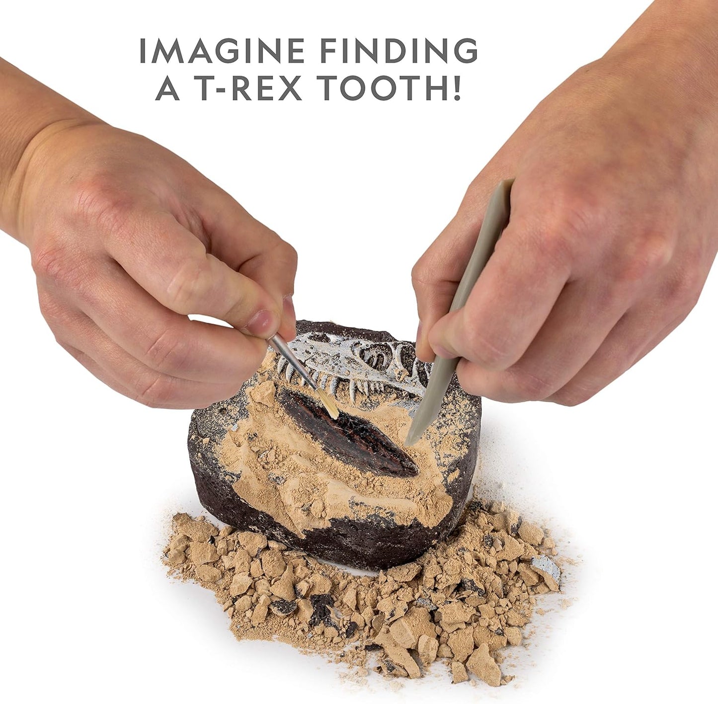 National Geographic Dino Fossil Dig Kit