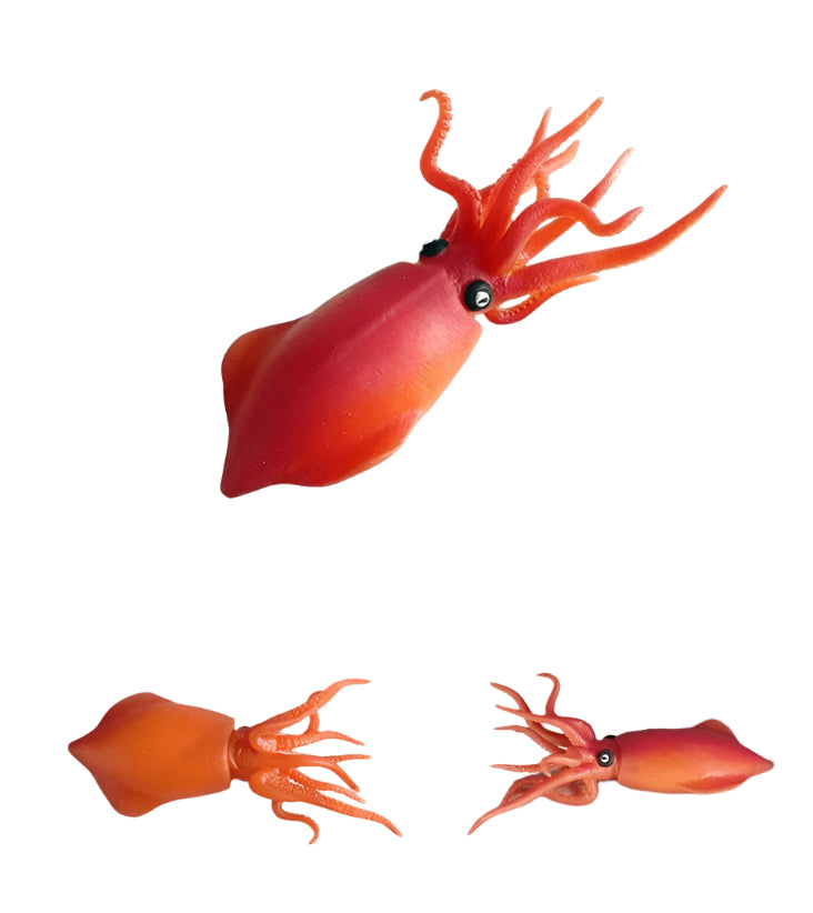 Animal Toy - Decapodiformes