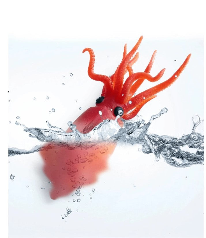 Animal Toy - Decapodiformes