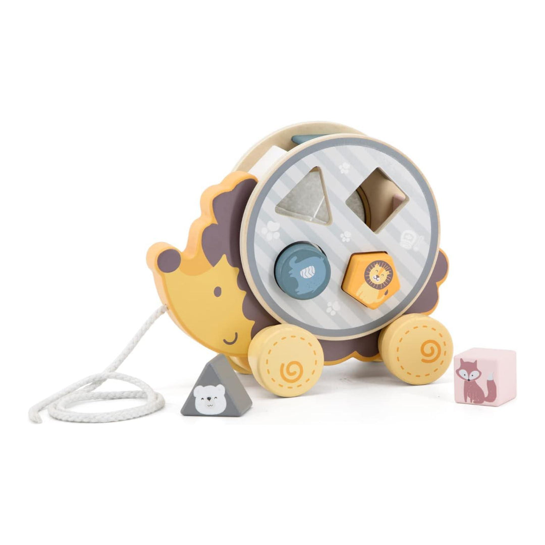 Pull Along Hedgehog with Sorting Wheel