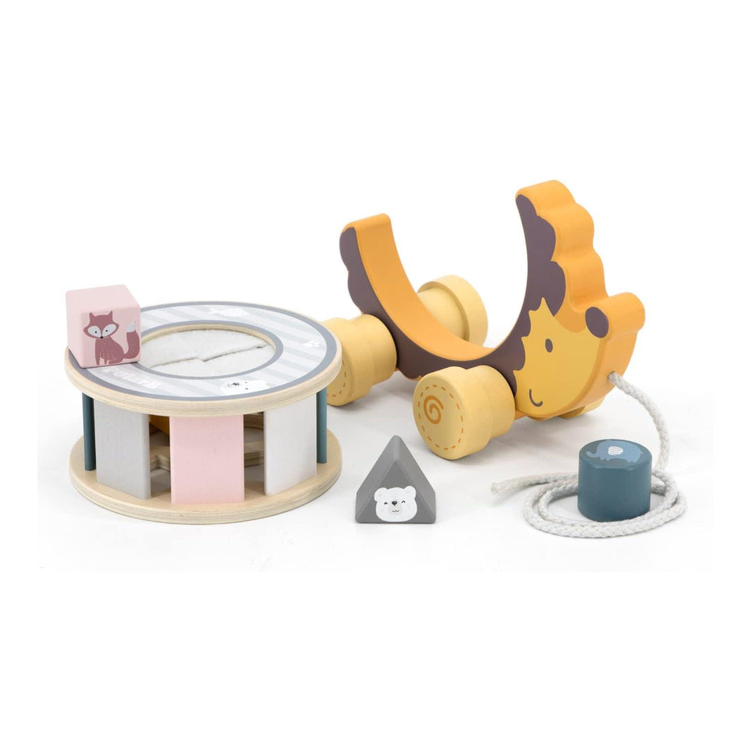 Pull Along Hedgehog with Sorting Wheel