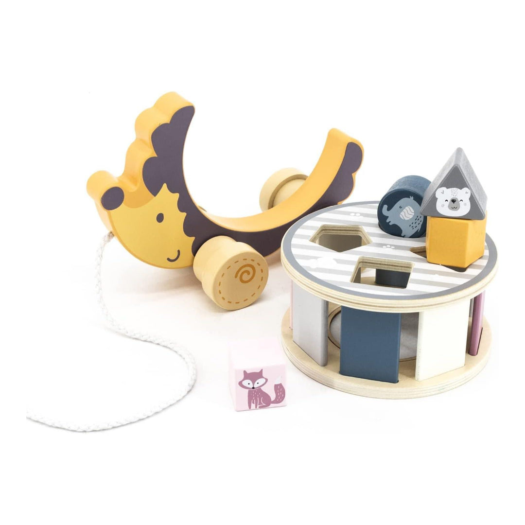 Pull Along Hedgehog with Sorting Wheel