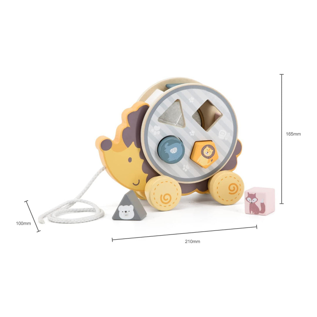 Pull Along Hedgehog with Sorting Wheel