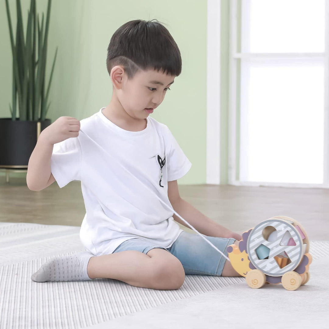 Pull Along Hedgehog with Sorting Wheel