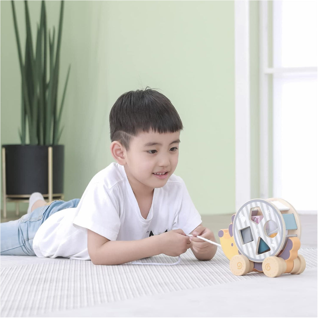 Pull Along Hedgehog with Sorting Wheel