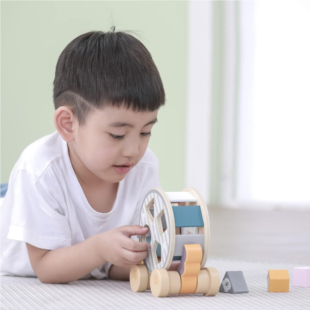 Pull Along Hedgehog with Sorting Wheel