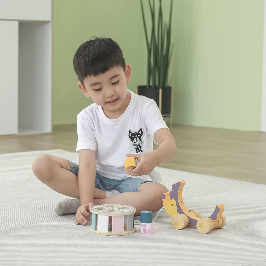 Pull Along Hedgehog with Sorting Wheel