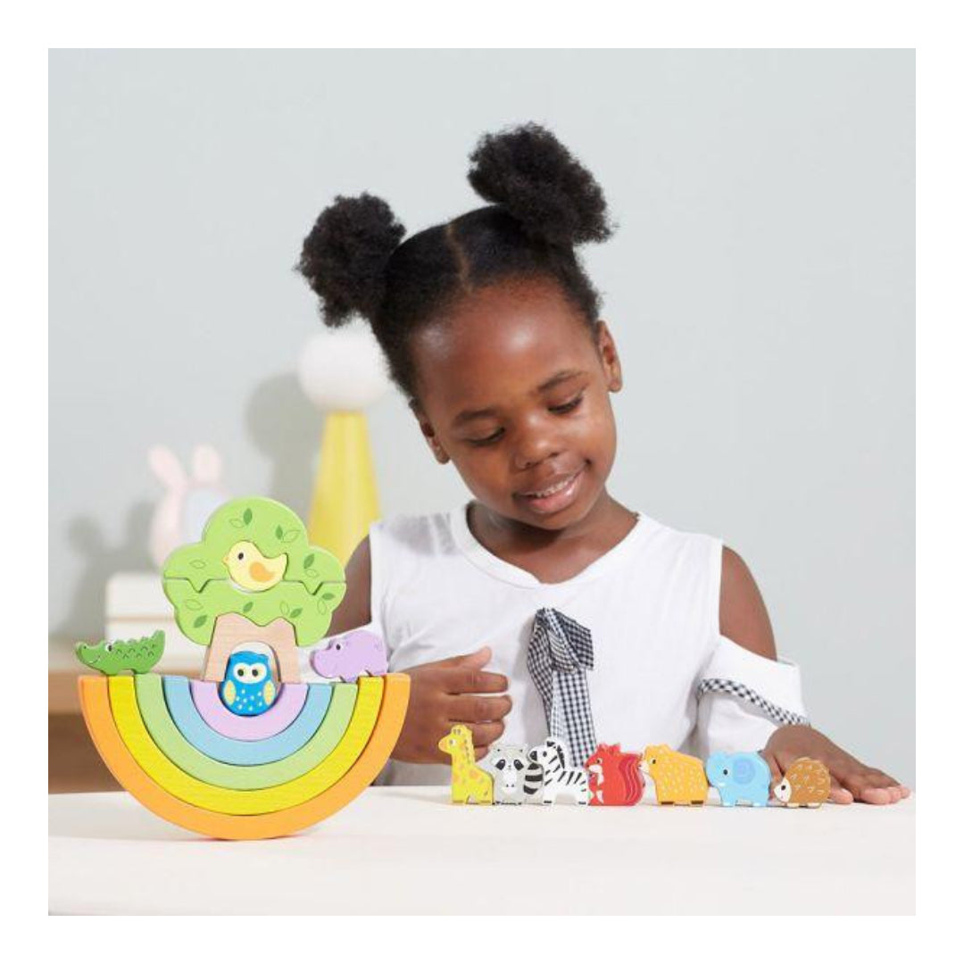 Viga Rainbow Balancing Blocks
