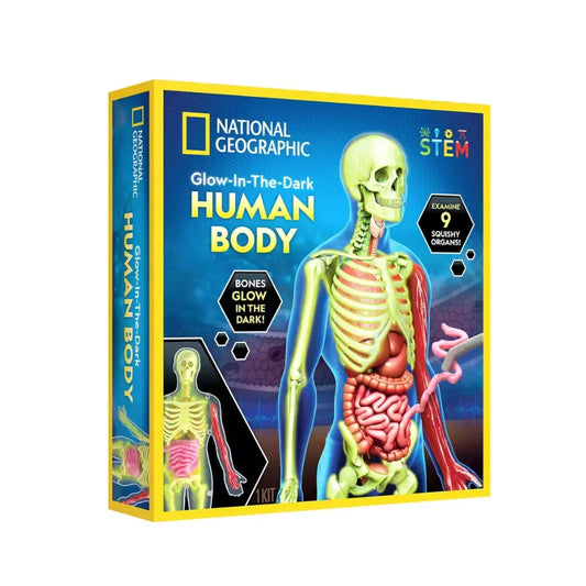 جسم الإنسان الوطني الجغرافي للتوهج