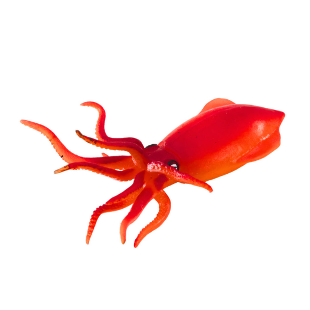 Animal Toy - Decapodiformes