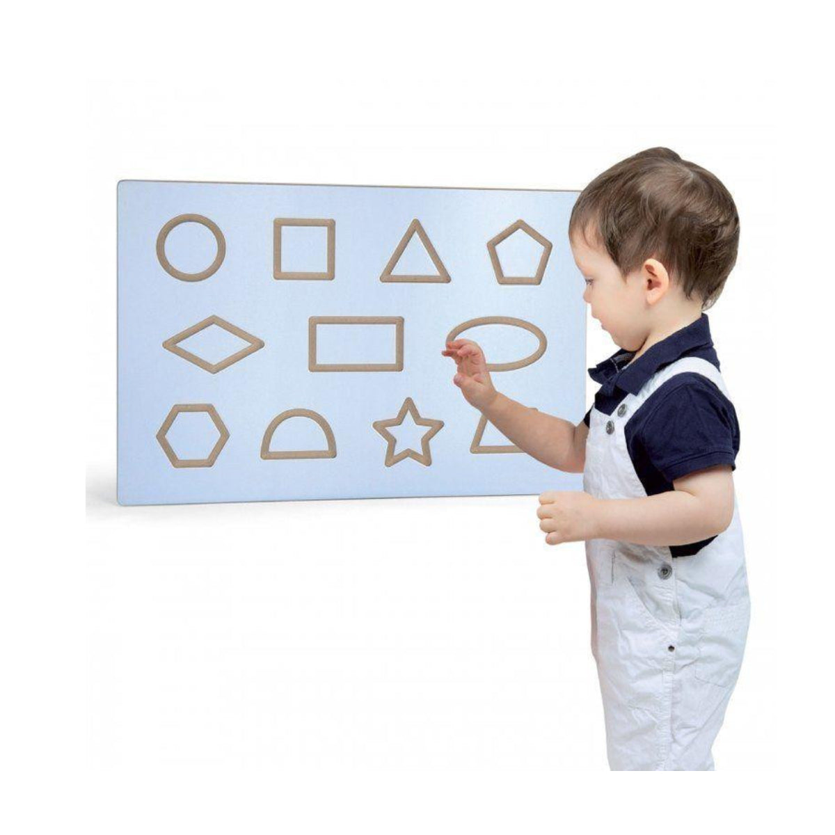 كتابة أشكال مجلس الإدارة