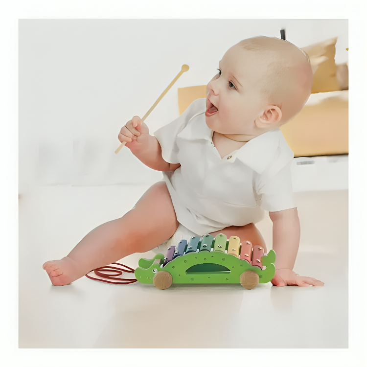 Pull-along Xylophone - Croc