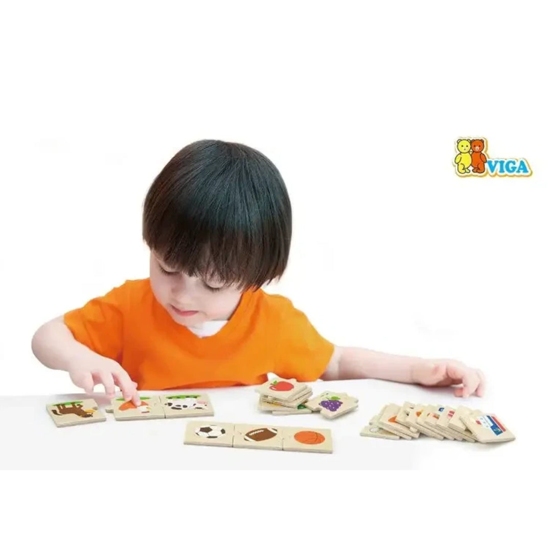 Categorizing Puzzle Set