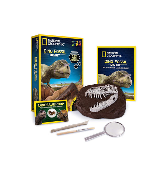 National Geographic Dino Fossil Dig Kit