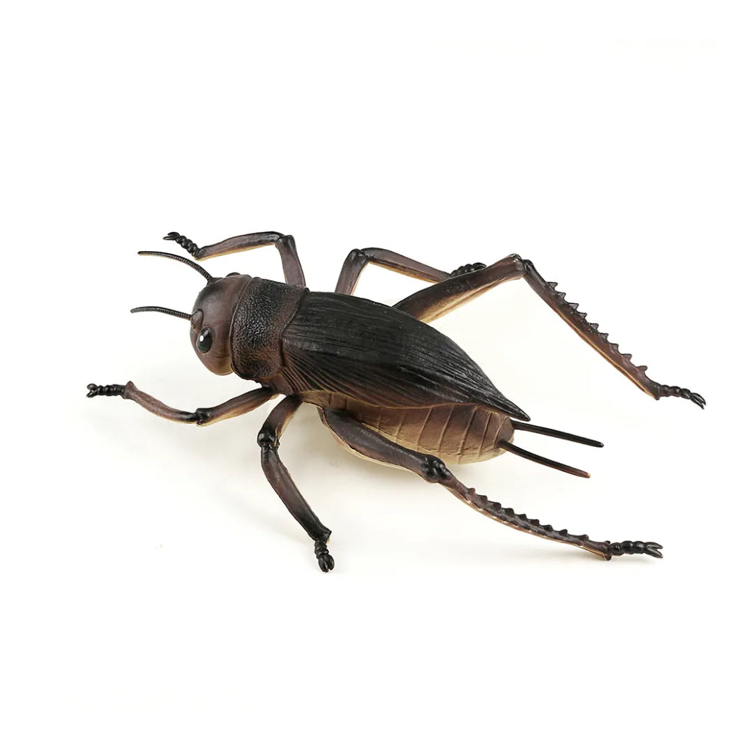 8 Inch Cricket Bundle Board