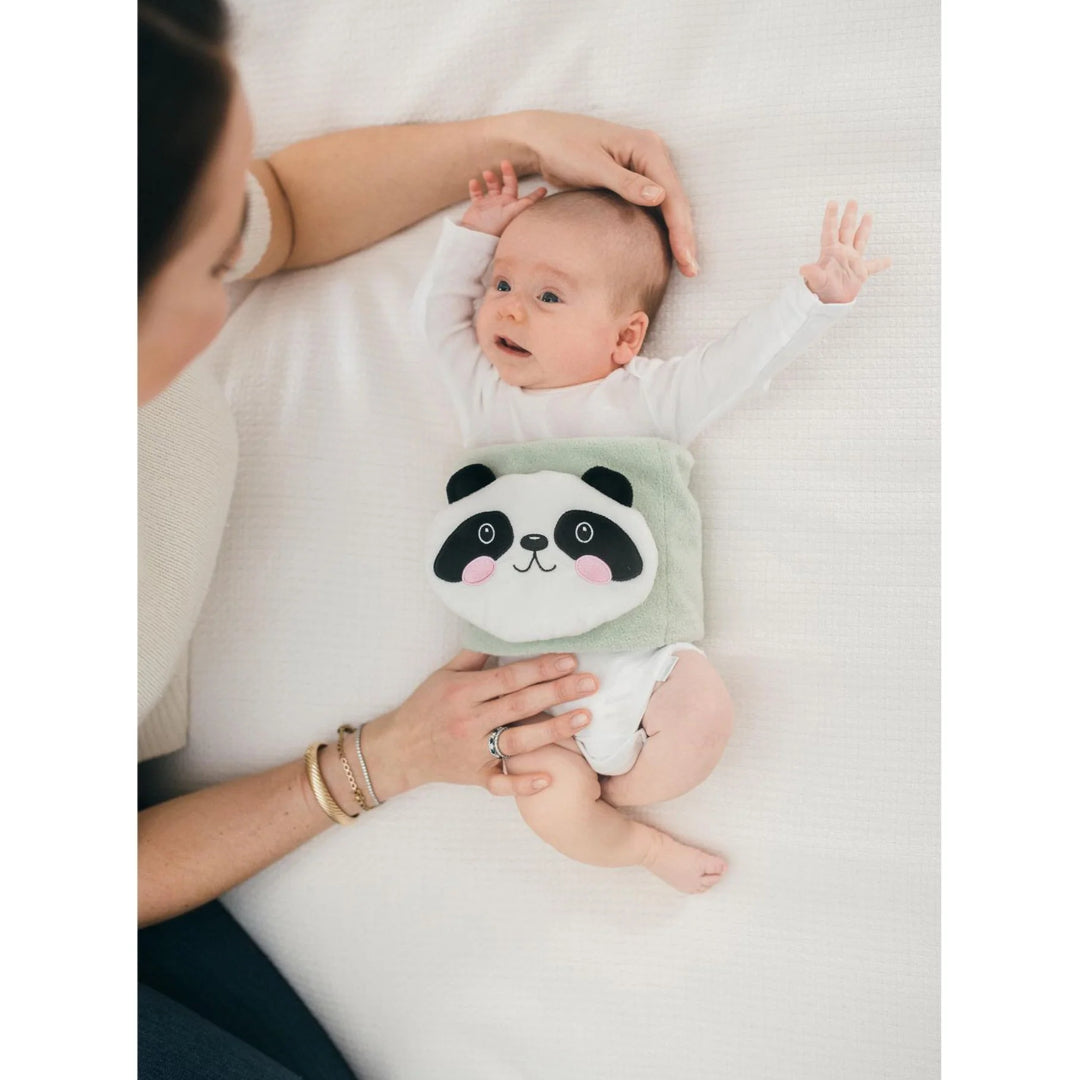 Dr. Brown's Infant Gripebelt Hedgehog