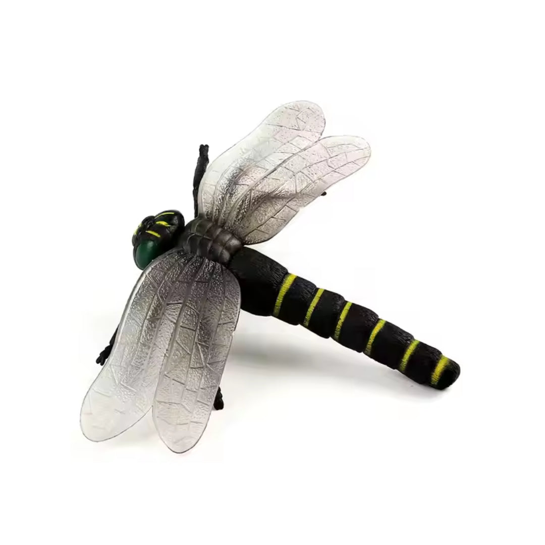 Dragonfly Set