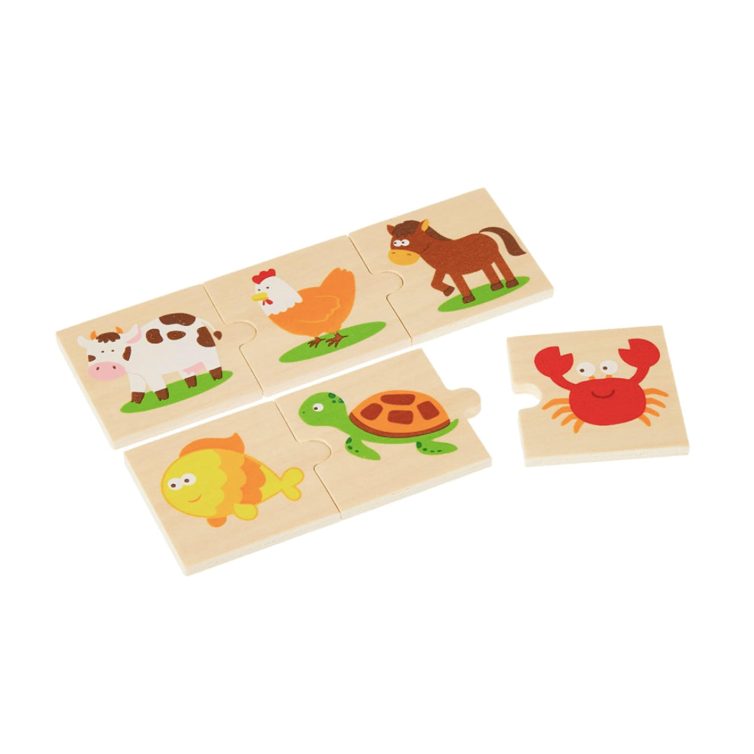 Categorizing Puzzle Set