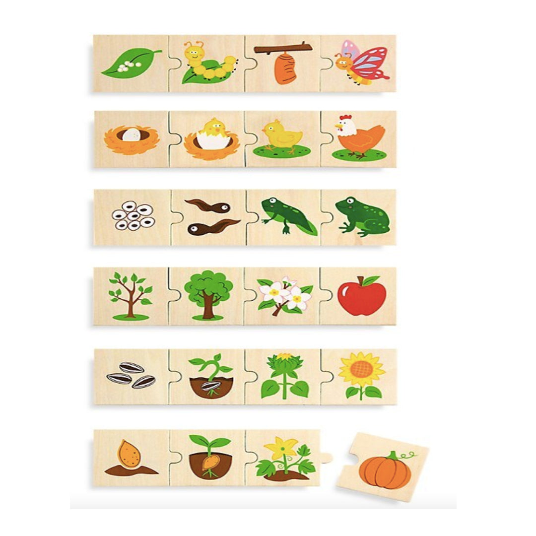Growing Puzzle Set