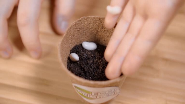 Green Science - Superpanda