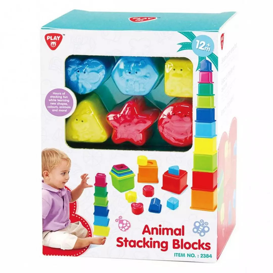 Play Go Sort & Learn Stacking Blocks