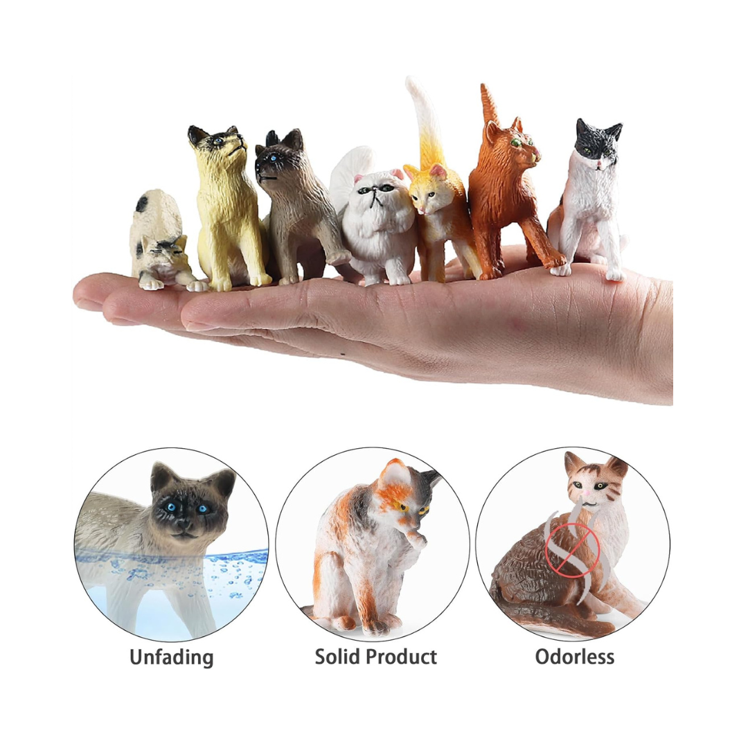 12 Pet Cats