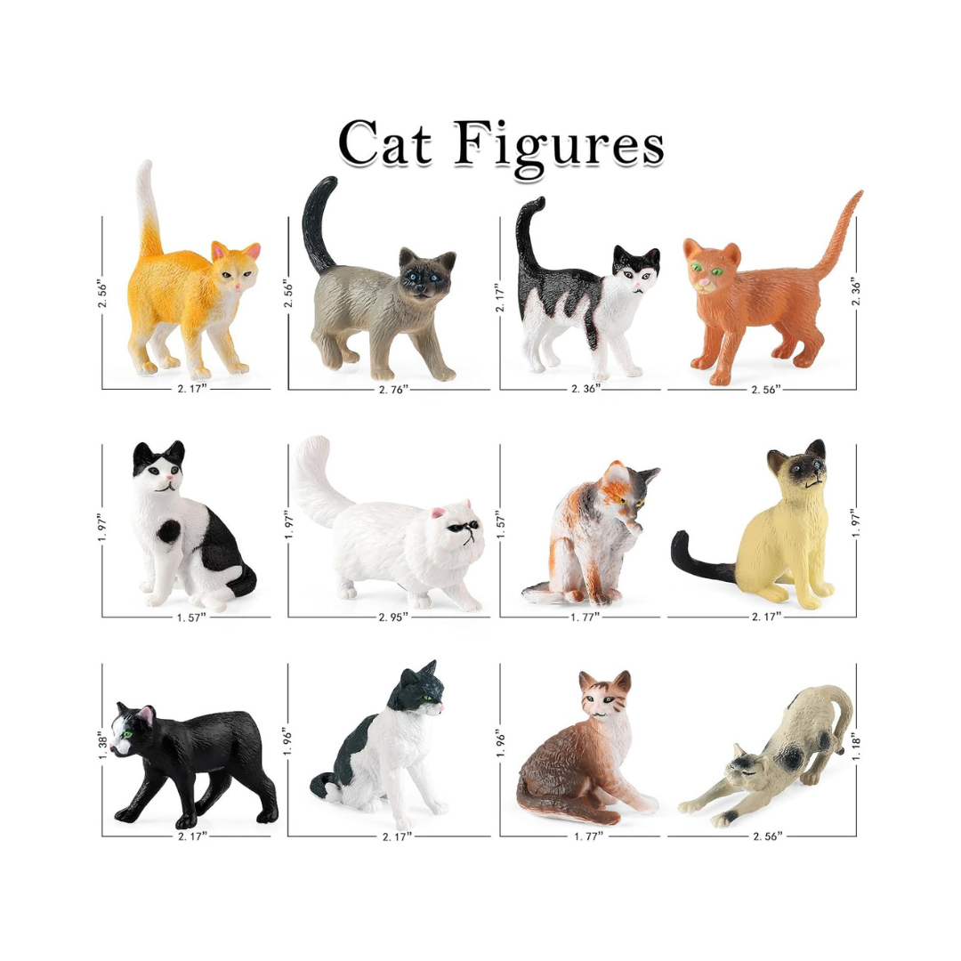 12 Pet Cats