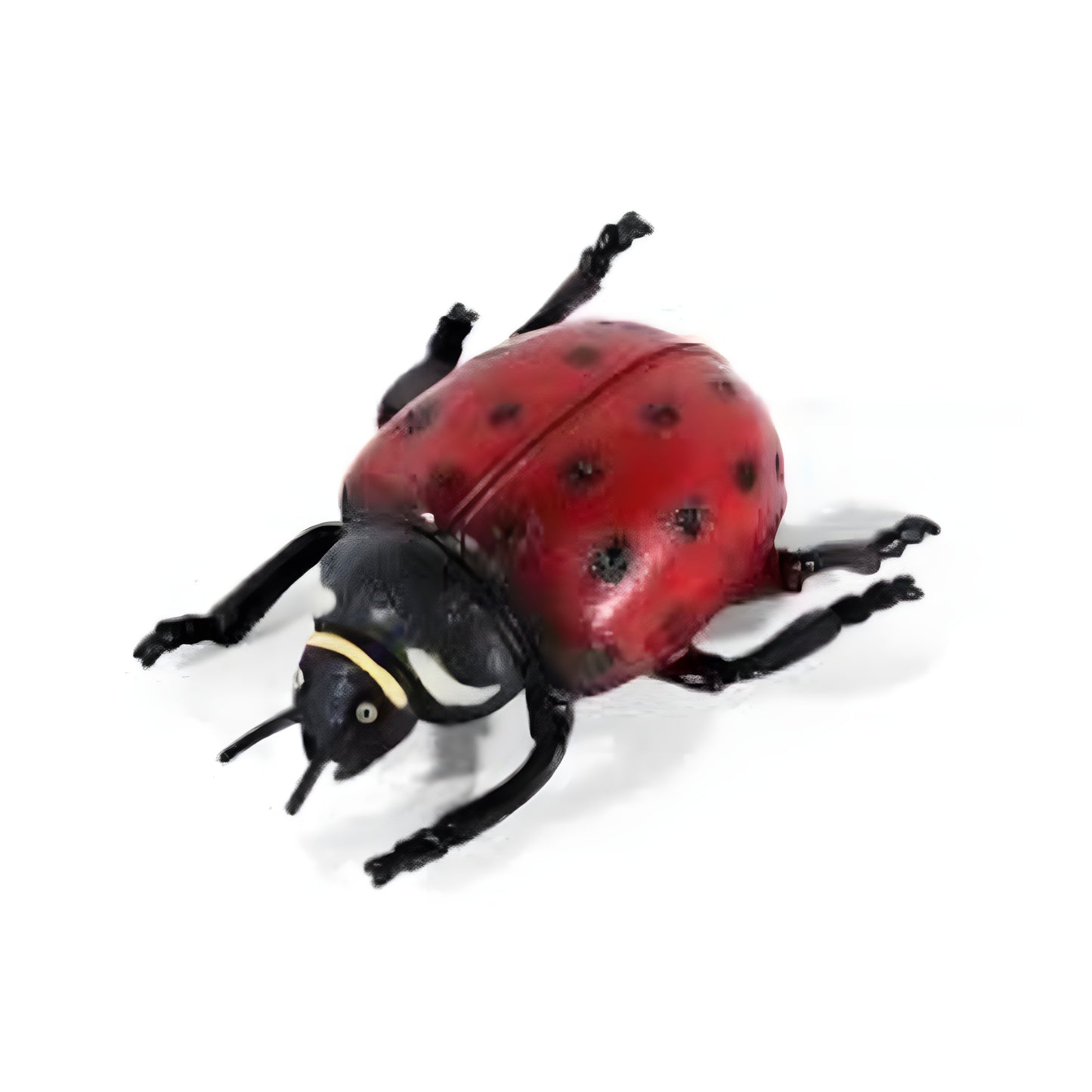8 inch Ladybug Bales