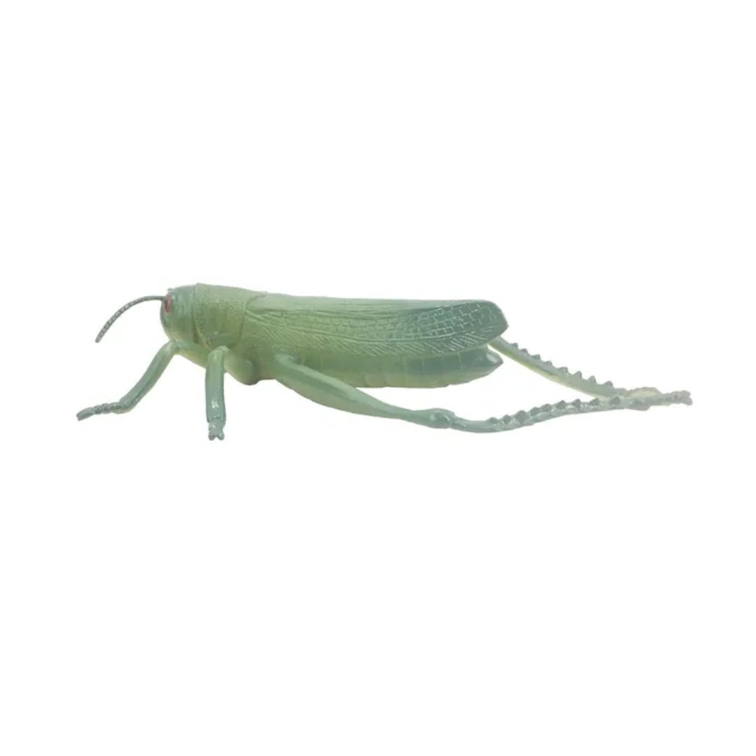 8 inch Grasshopper Binding Board