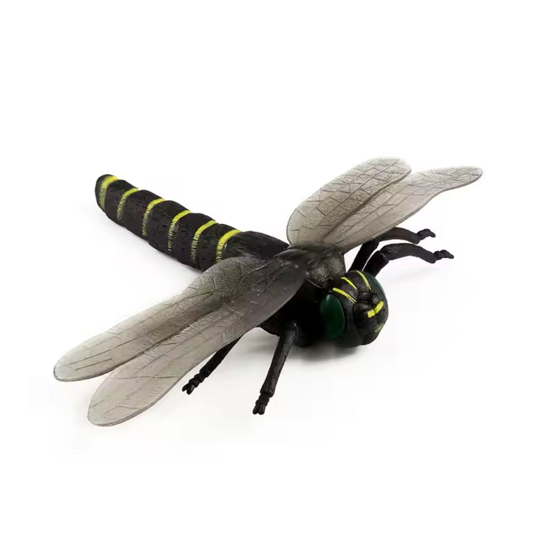 Dragonfly Set