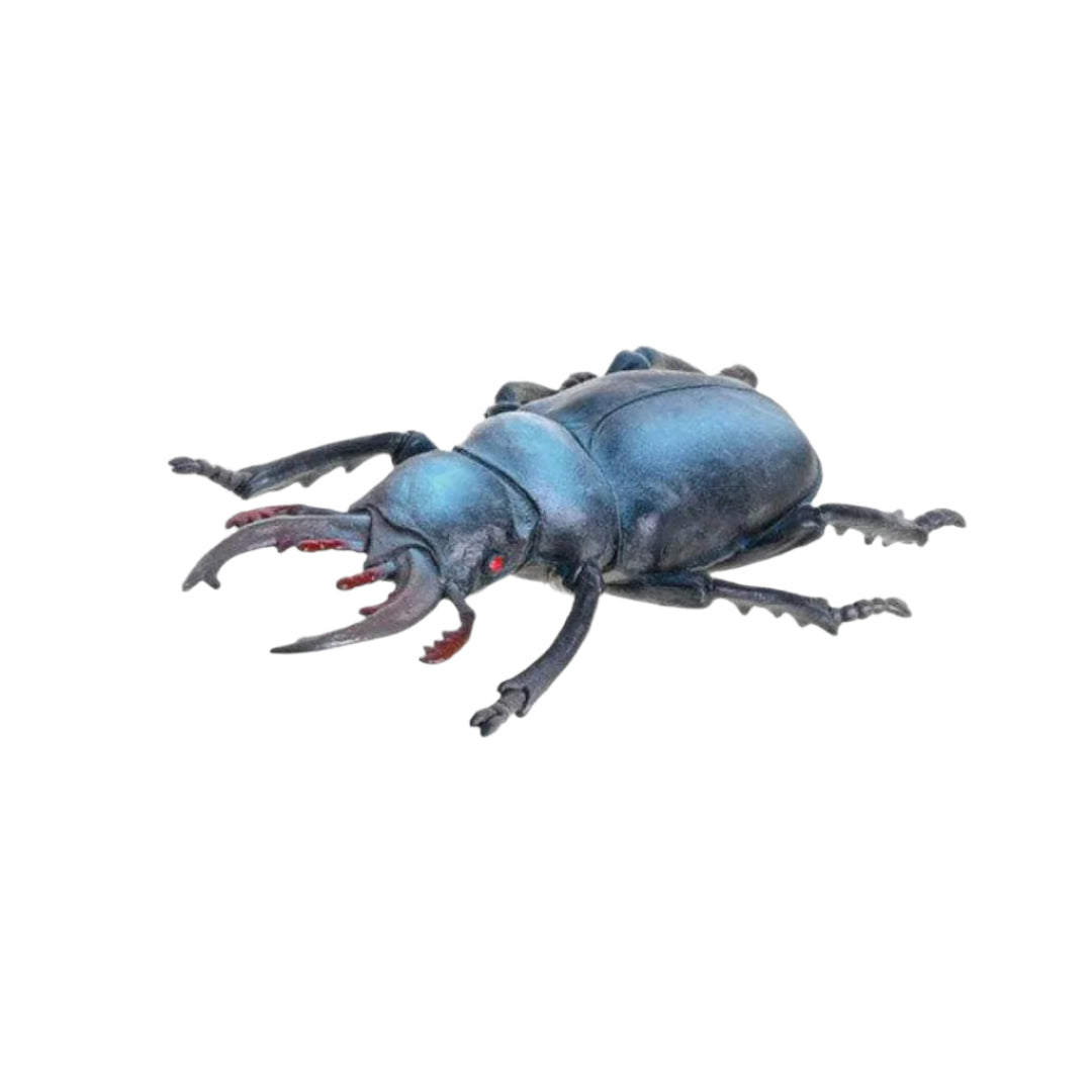 8 inch Beetle Tied Board