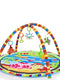 Baby Physical Activity Foldable Play Mat. - Superpanda