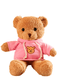 Hoodie Teddy Bear Pink - Superpanda