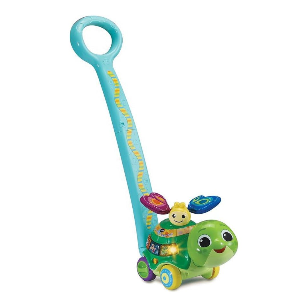 Vtech 2 In 1 Push & Discover Turtle - Superpanda