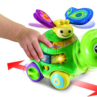 Vtech 2 In 1 Push & Discover Turtle - Superpanda